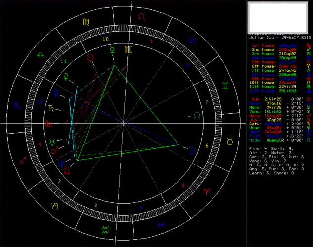 这个是风筝型的星盘?还是什么盘啊?