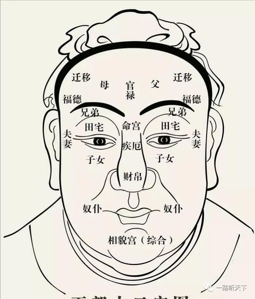 有钱人的脸长啥样面相识人