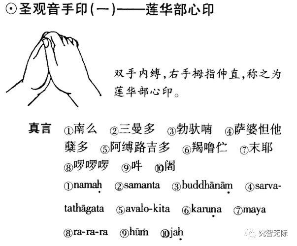 观音部手印以及真言三秘密珍藏版圣观音千手观音金刚法菩萨的真言手印