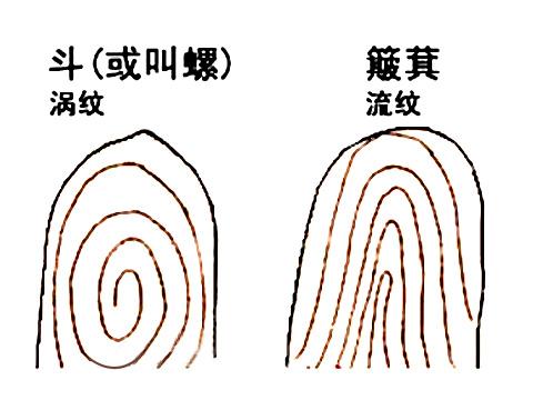 手指上的斗和簸箕代表什么十个簸箕簸箕和斗算命