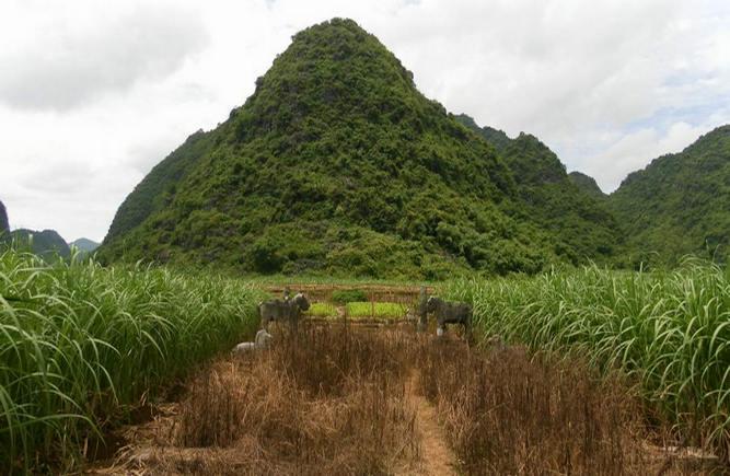 骠骑将军岑瑛墓地风水