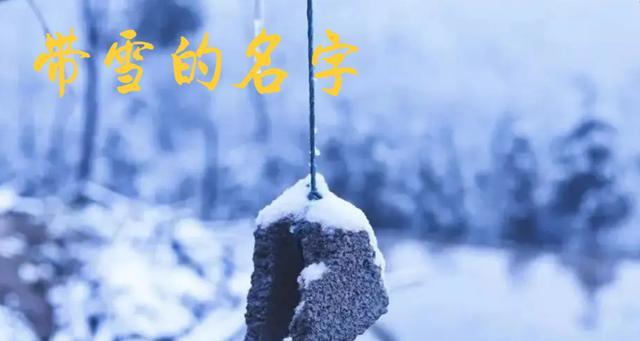 带雪的名字?