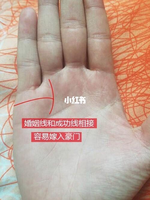 女人手相事业线图解_手相婚姻线图解_女人婚姻手相图解