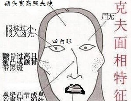 面相揭秘鼻如鹰嘴啄人心髓有鹰钩鼻的人狡猾阴险好强