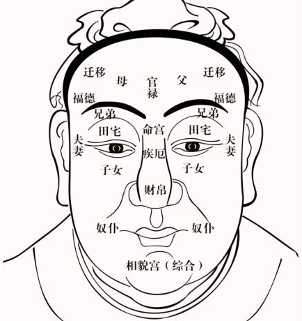 面相学脸上长一根白毛呵呵,额头上的是聪明白毛,脖子后面的是长寿