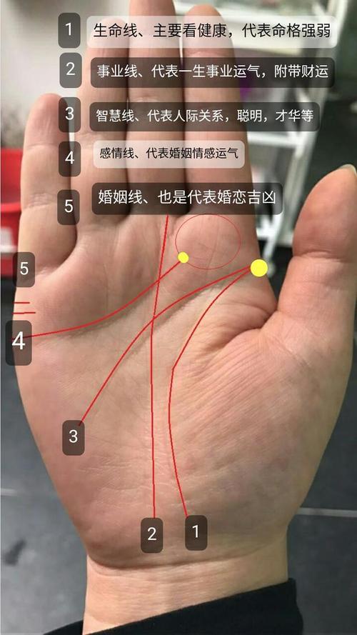 古代手相学中的感情线在现代人称爱情线,心线,在中国传统看手相的三大