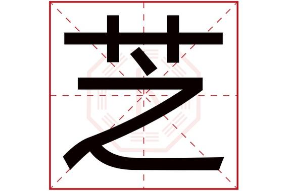 芝字五行属什么,芝字在名字里的含义,芝字起名的寓意