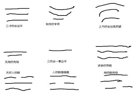 抬头纹面相分析