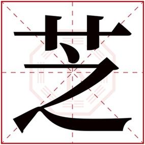 高尚寓意的女孩名字用芝字 带芝字的女孩名字大全-宝宝起名网