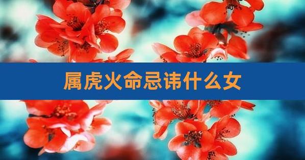 属虎火命最适合戴什么