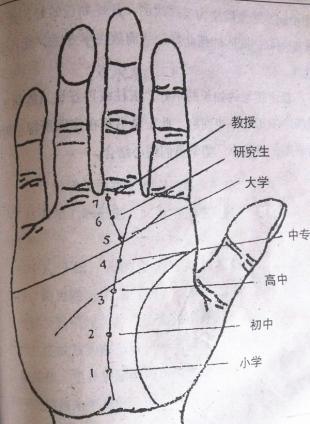 从手相看你的学历.