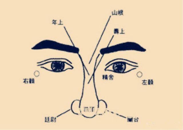 面相图解:鼻子