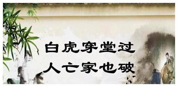 白虎穿堂家败人亡这句话是什么意思白虎指的又是什么