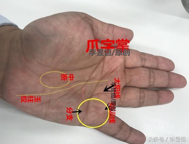 手相爪字掌这条线越多越容易出人头地事业越成功