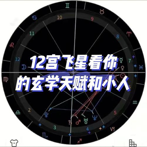 飞星看你的天赋灵感能力和小人#星盘配置  #星盘  #星盘分析  #占星