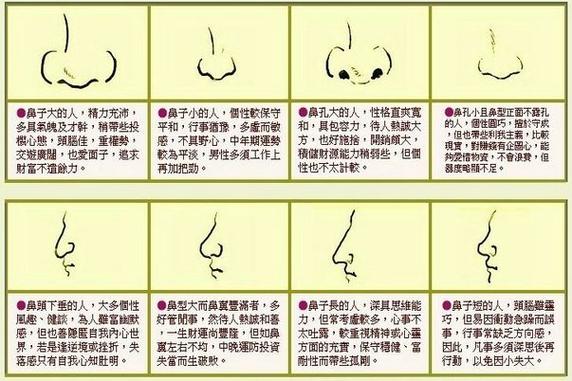 苏民峰面相:鼻子面相图解