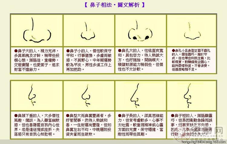 【转载】面相图解大全之鼻相解析