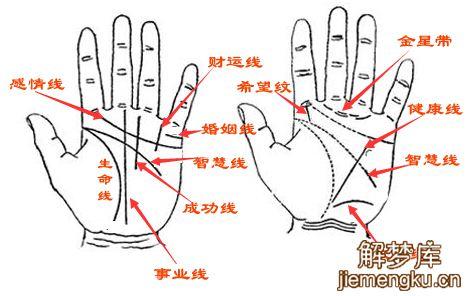 梦见掌纹是什么征兆