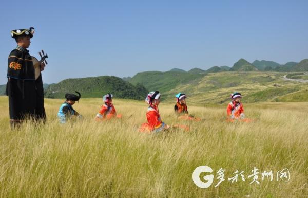 大方县星宿乡崔苏坝大草原风情.(大方县委宣传部 供图)