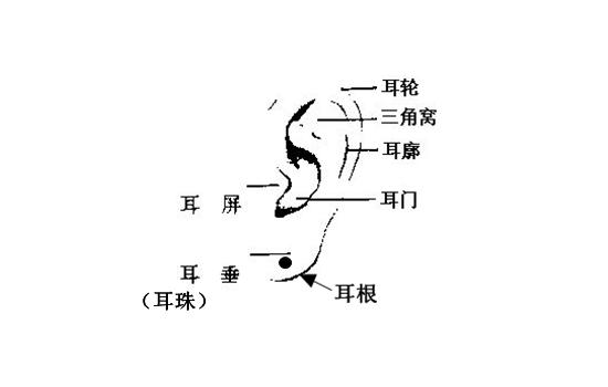 男人耳朵长痣面相图耳背有痣的男人易犯小人