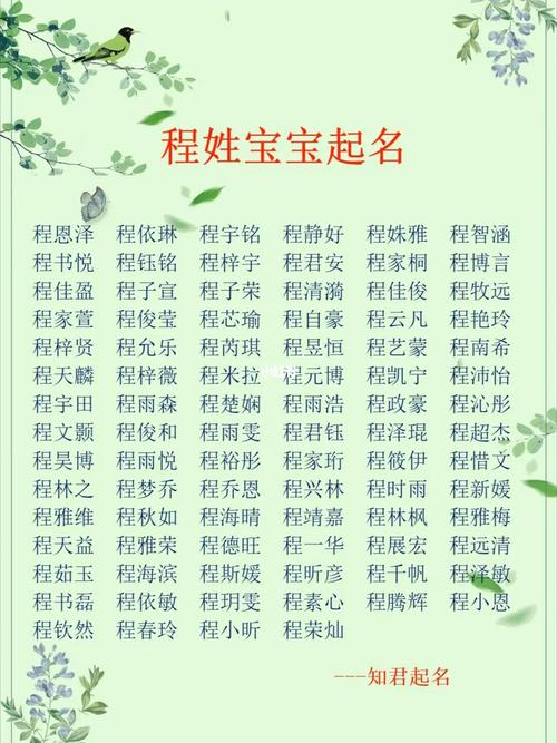 小宝宝起名大全姓程 程姓宝宝寓意好的名字