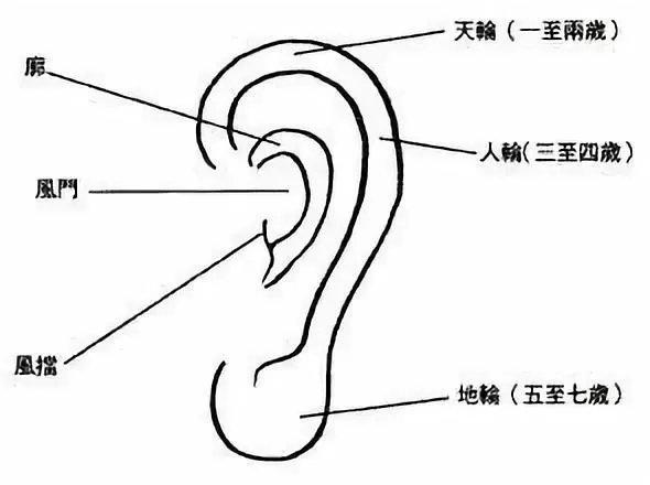 分享给您的好友面相应用面相基础手相面相基础返回耳朵看相诀窍