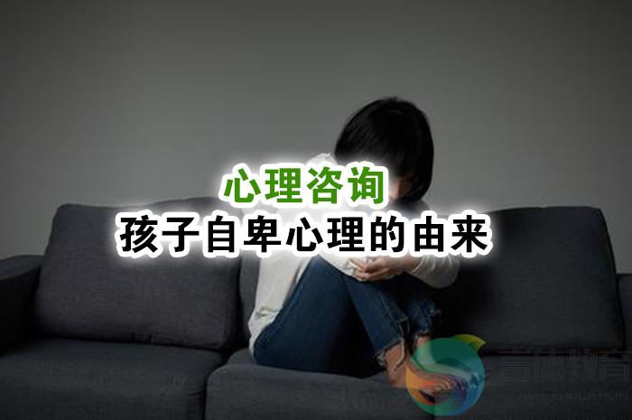 玉树称多县心理咨询分析孩子自卑心理的由来