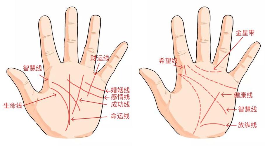 从手相看穿你的事业婚姻财运!准到没朋友~_算法