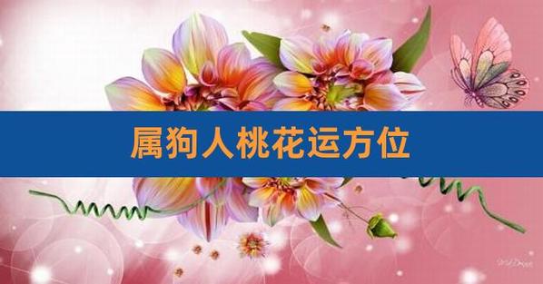 属狗人桃花运方位,属狗的桃花位在什么方向