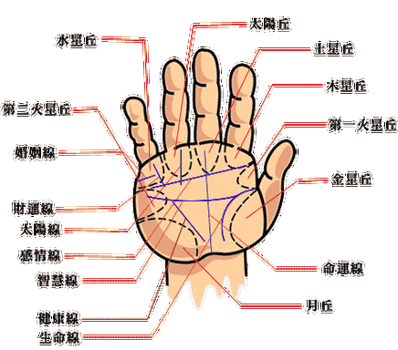 凯帝阿手相算命图解之线纹介绍