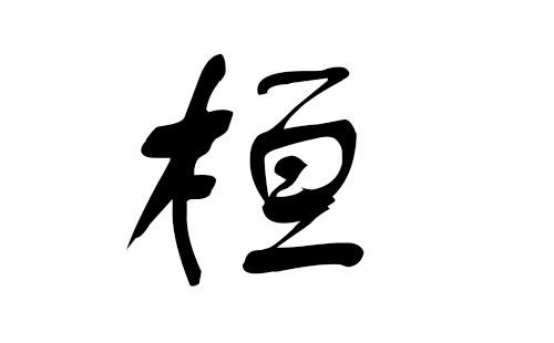 带桓的男孩名字后面带桓字的男孩名字