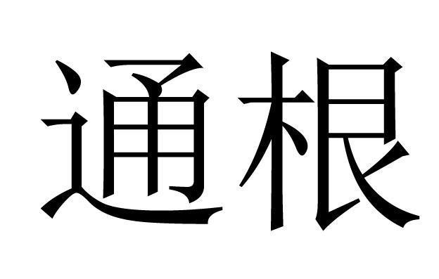 四柱八字通根和透干的特征意义