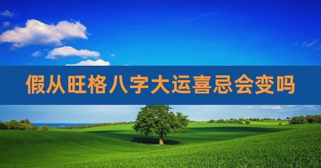 假从旺格八字大运喜忌会变吗,八字怎么看大运喜忌