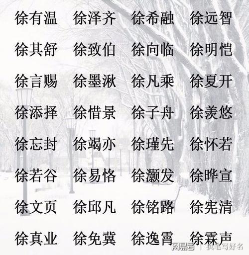 徐姓女宝宝起名(徐姓女宝宝取名字)