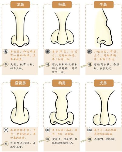 如何判断鼻子面相的好坏