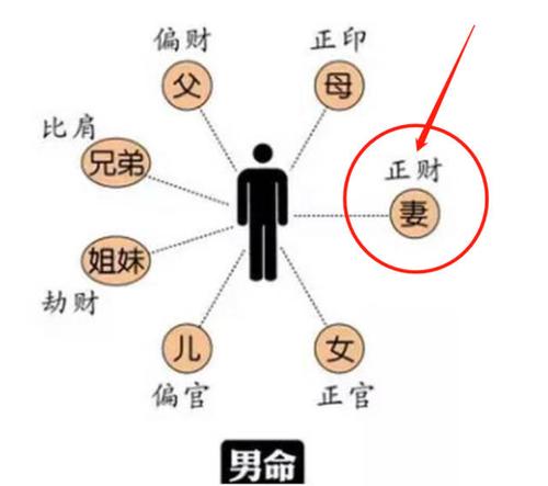 在男人命局中,老婆是正财星哦 因此,男人的老婆好,财运才会旺, 很多