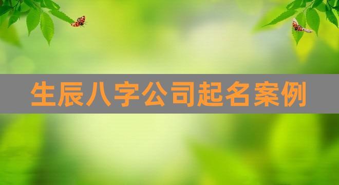 生辰八字公司起名案例(生辰八字查询)